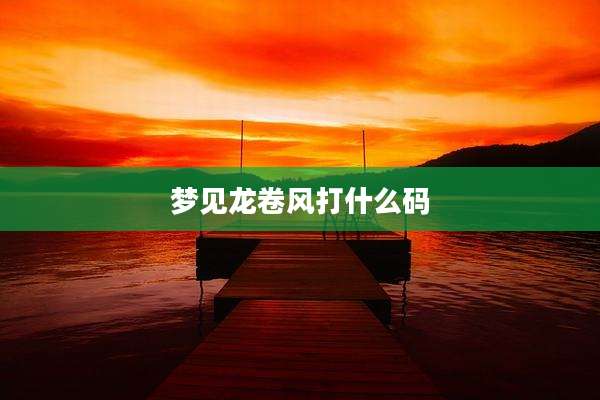 梦见龙卷风打什么码