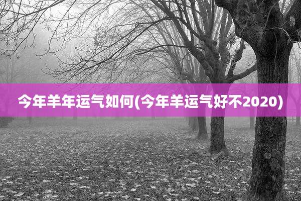 今年羊年运气如何(今年羊运气好不2020)