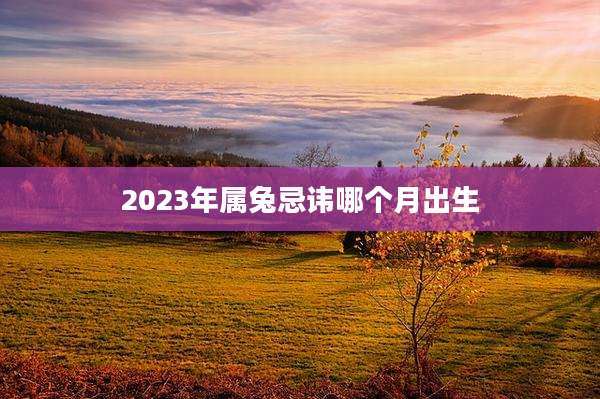 2023年属兔忌讳哪个月出生