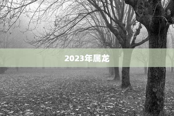 2023年属龙