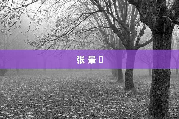 张 景 焜