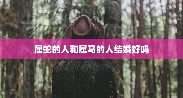 属蛇的人和属马的人结婚好吗