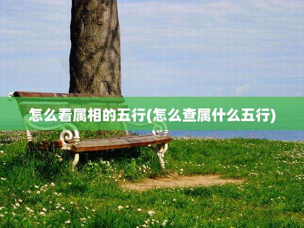 怎么看属相的五行(怎么查属什么五行)