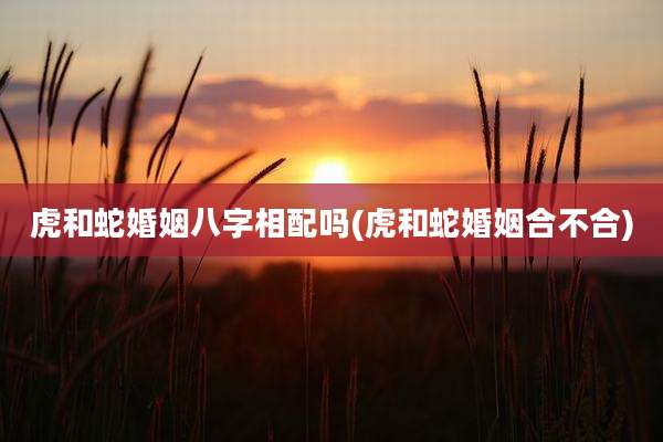 虎和蛇婚姻八字相配吗(虎和蛇婚姻合不合)