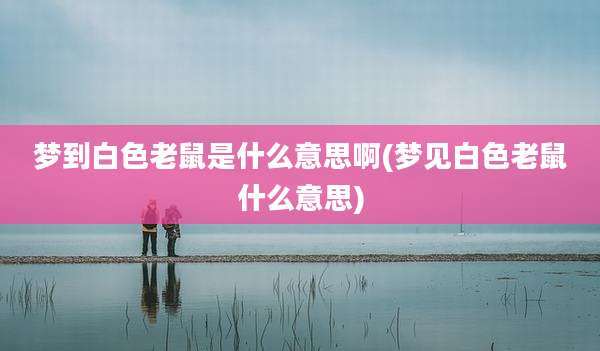 梦到白色老鼠是什么意思啊(梦见白色老鼠什么意思)