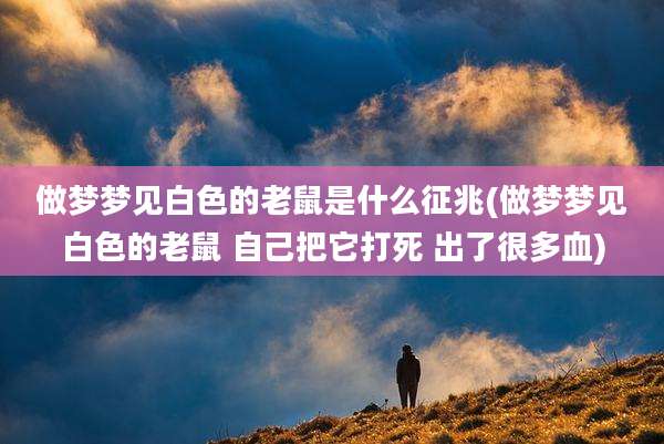 做梦梦见白色的老鼠是什么征兆(做梦梦见白色的老鼠 自己把它打死 出了很多血)
