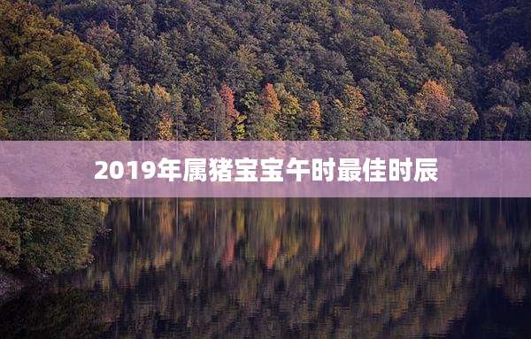 2019年属猪宝宝午时最佳时辰