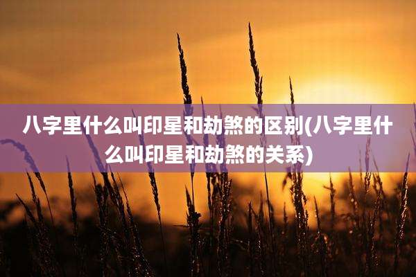 八字里什么叫印星和劫煞的区别(八字里什么叫印星和劫煞的关系)