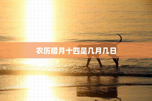 农历腊月十四是几月几日