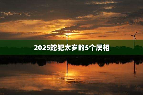 2025蛇犯太岁的5个属相