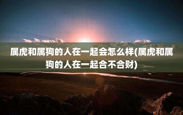 属虎和属狗的人在一起会怎么样(属虎和属狗的人在一起合不合财)