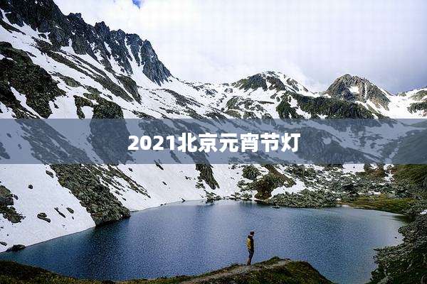 2021北京元宵节灯