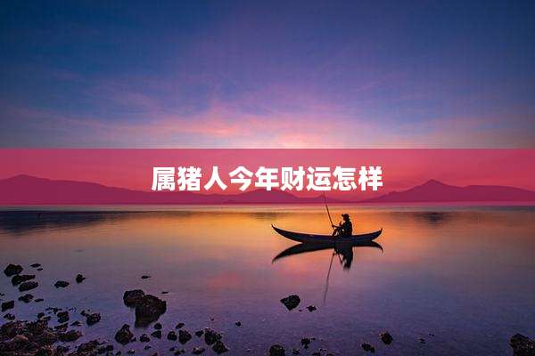 属猪人今年财运怎样