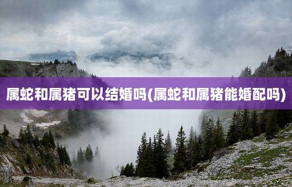 属蛇和属猪可以结婚吗(属蛇和属猪能婚配吗)
