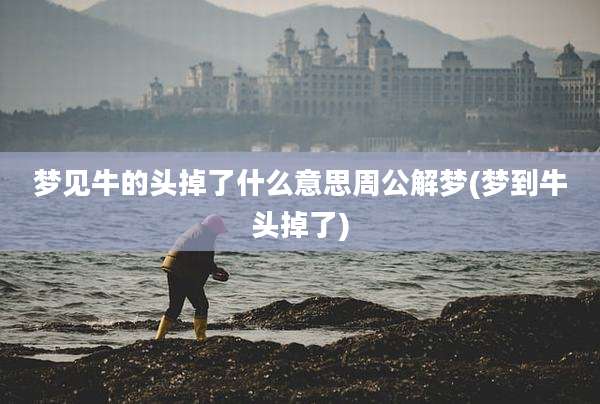 梦见牛的头掉了什么意思周公解梦(梦到牛头掉了)