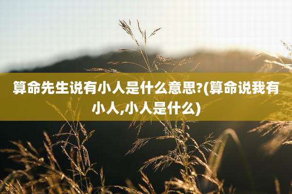 算命先生说有小人是什么意思?(算命说我有小人,小人是什么)