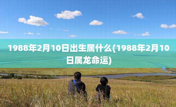 1988年2月10日出生属什么(1988年2月10日属龙命运)