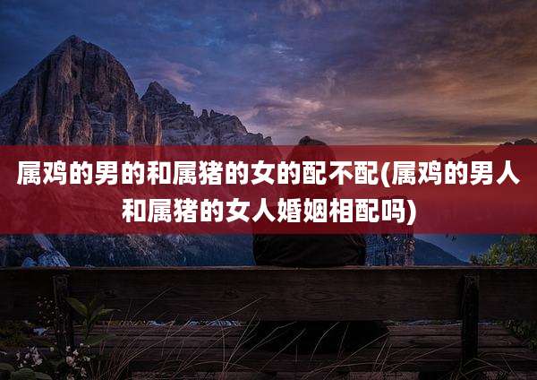属鸡的男的和属猪的女的配不配(属鸡的男人和属猪的女人婚姻相配吗)