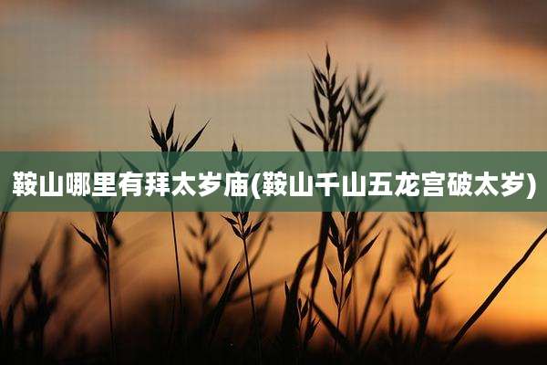 鞍山哪里有拜太岁庙(鞍山千山五龙宫破太岁)