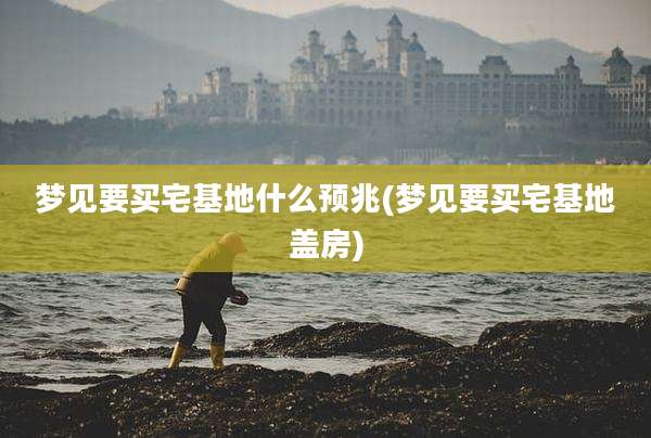 梦见要买宅基地什么预兆(梦见要买宅基地盖房)