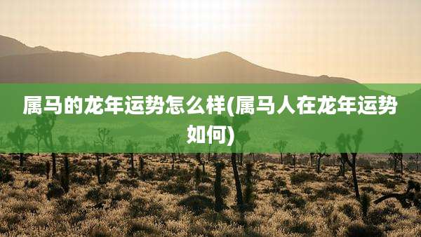属马的龙年运势怎么样(属马人在龙年运势如何)