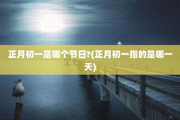 正月初一是哪个节日?(正月初一指的是哪一天)