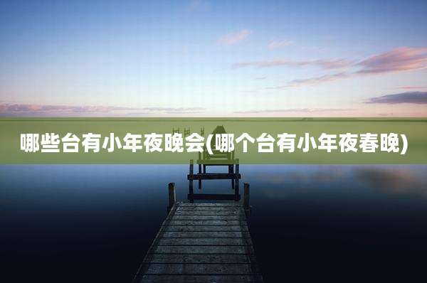 哪些台有小年夜晚会(哪个台有小年夜春晚)