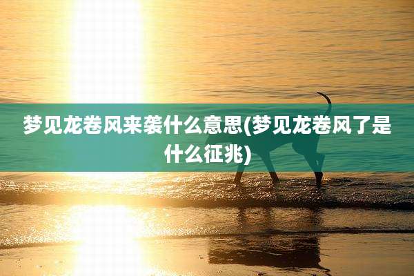 梦见龙卷风来袭什么意思(梦见龙卷风了是什么征兆)