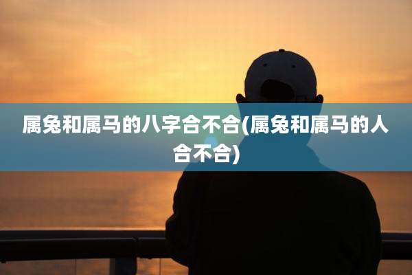 属兔和属马的八字合不合(属兔和属马的人合不合)