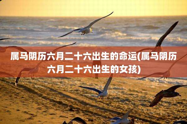 属马阴历六月二十六出生的命运(属马阴历六月二十六出生的女孩)