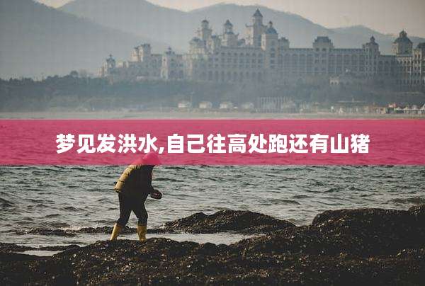 梦见发洪水,自己往高处跑还有山猪