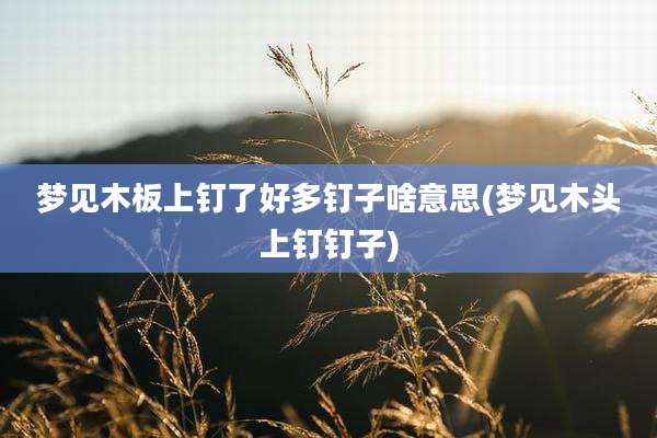 梦见木板上钉了好多钉子啥意思(梦见木头上钉钉子)