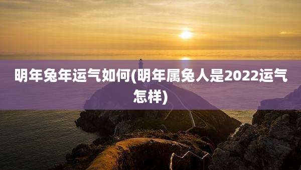 明年兔年运气如何(明年属兔人是2022运气怎样)