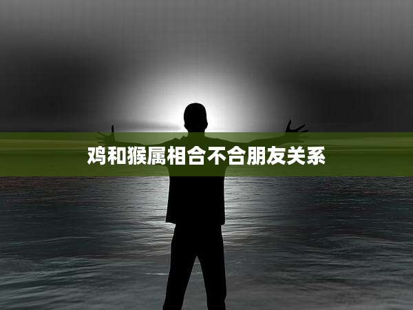 鸡和猴属相合不合朋友关系