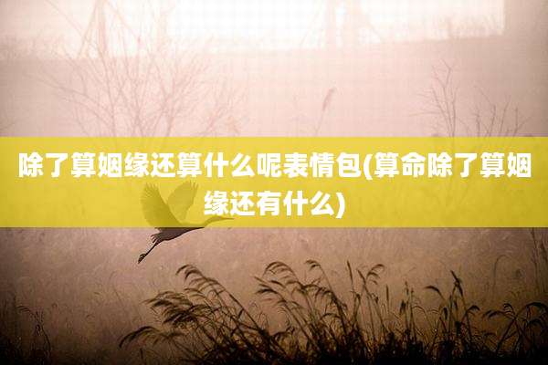 除了算姻缘还算什么呢表情包(算命除了算姻缘还有什么)