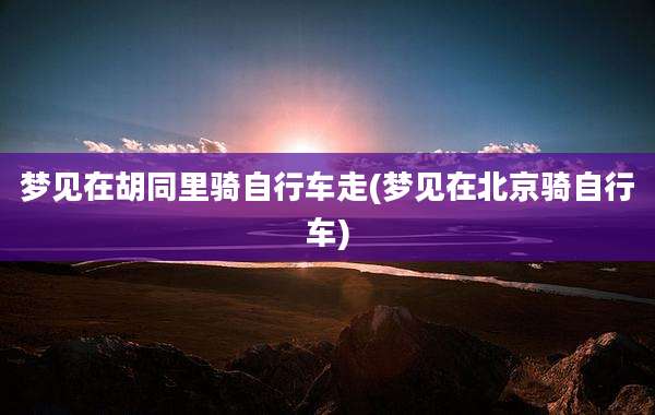 梦见在胡同里骑自行车走(梦见在北京骑自行车)