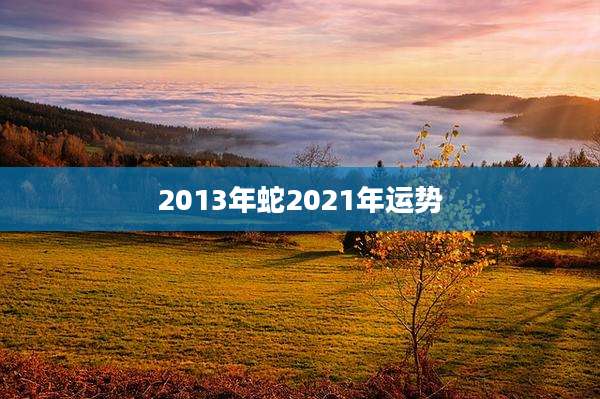 2013年蛇2021年运势