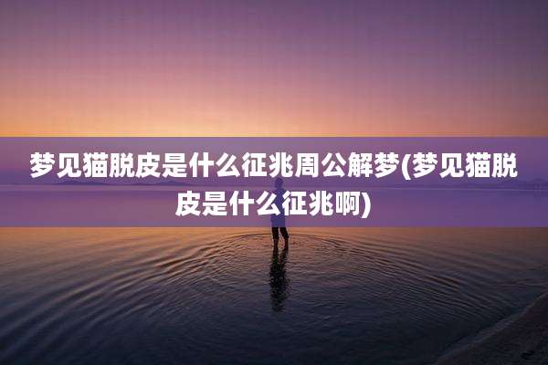 梦见猫脱皮是什么征兆周公解梦(梦见猫脱皮是什么征兆啊)