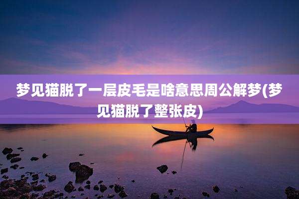 梦见猫脱了一层皮毛是啥意思周公解梦(梦见猫脱了整张皮)