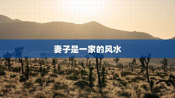 妻子是一家的风水