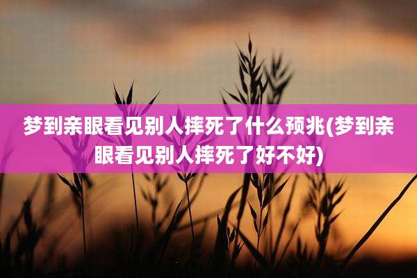 梦到亲眼看见别人摔死了什么预兆(梦到亲眼看见别人摔死了好不好)
