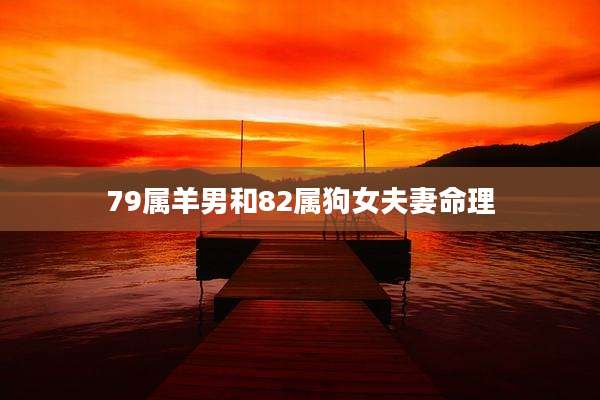 79属羊男和82属狗女夫妻命理