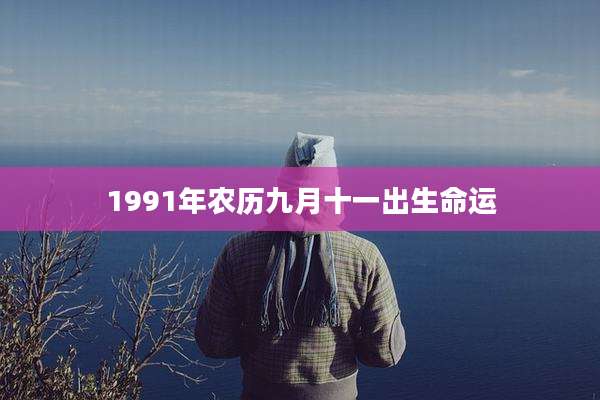 1991年农历九月十一出生命运
