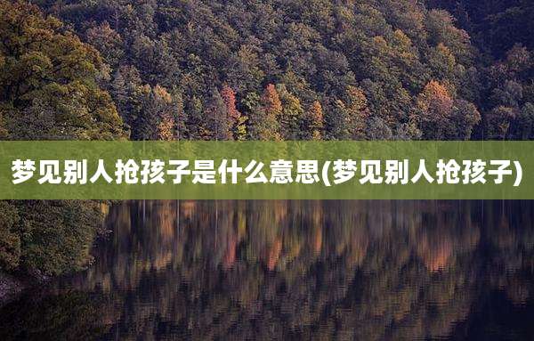 梦见别人抢孩子是什么意思(梦见别人抢孩子)