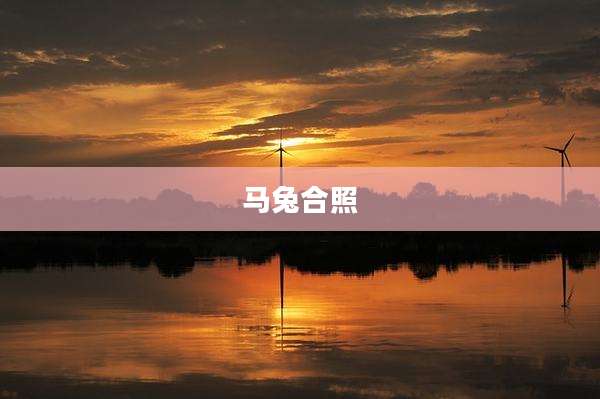 马兔合照