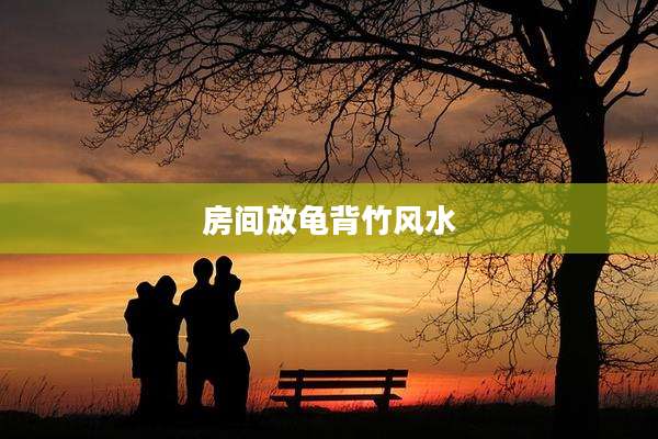房间放龟背竹风水