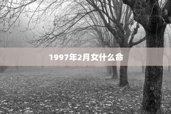1997年2月女什么命
