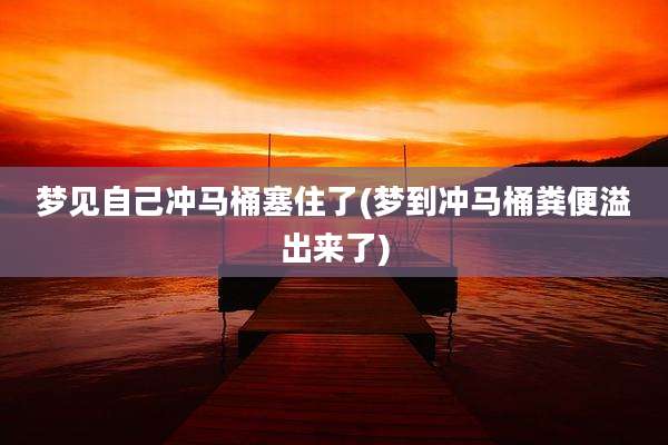 梦见自己冲马桶塞住了(梦到冲马桶粪便溢出来了)