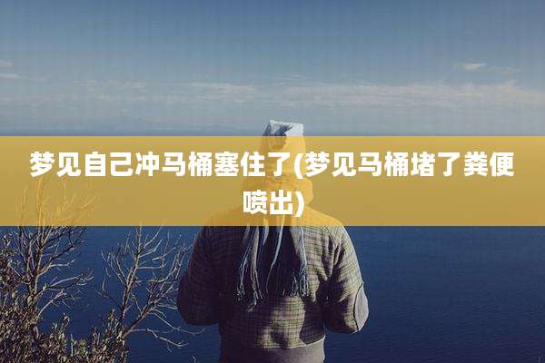 梦见自己冲马桶塞住了(梦见马桶堵了粪便喷出)