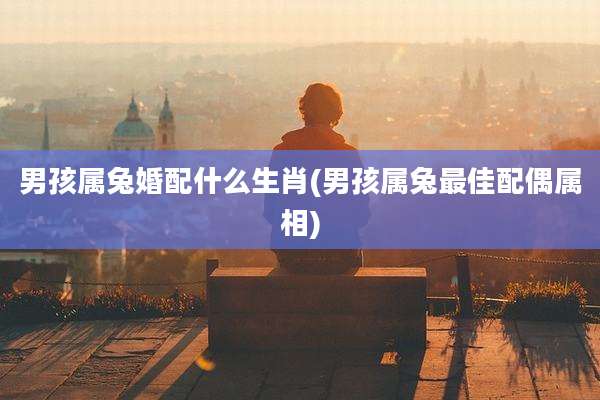 男孩属兔婚配什么生肖(男孩属兔最佳配偶属相)